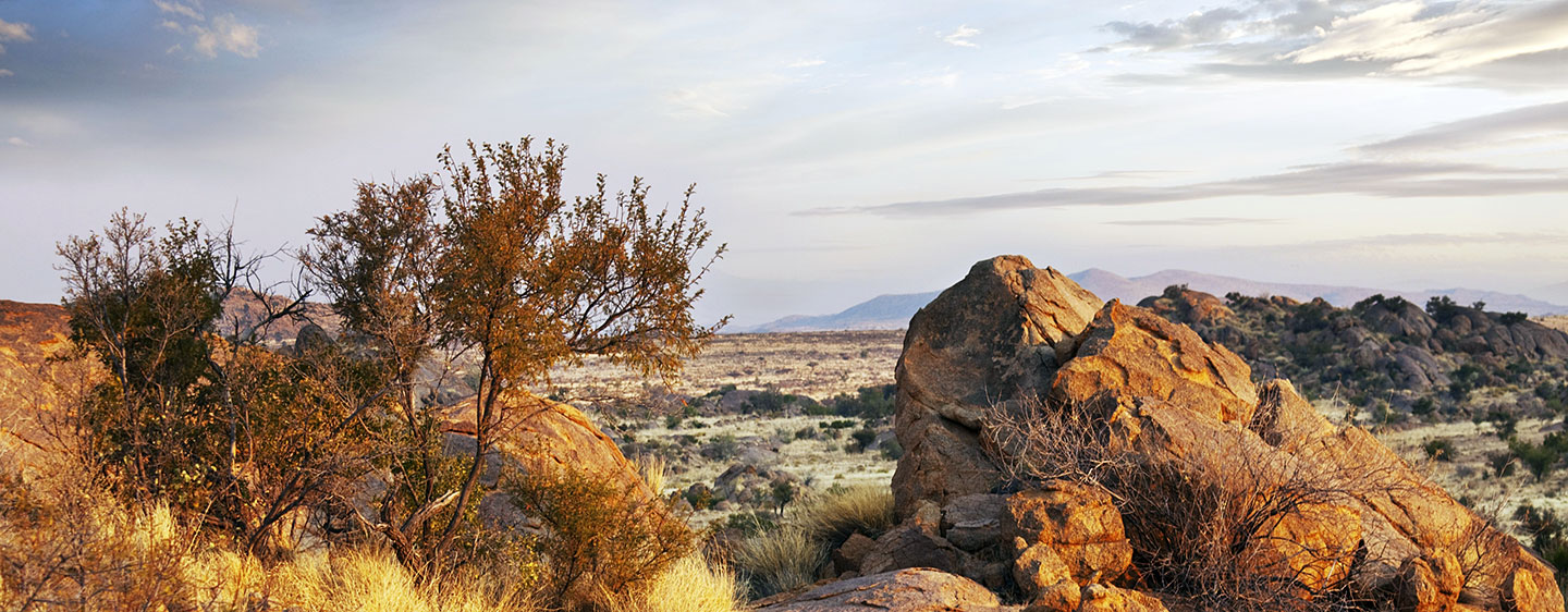 Land for Living Focus Property Group